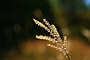 sight-18